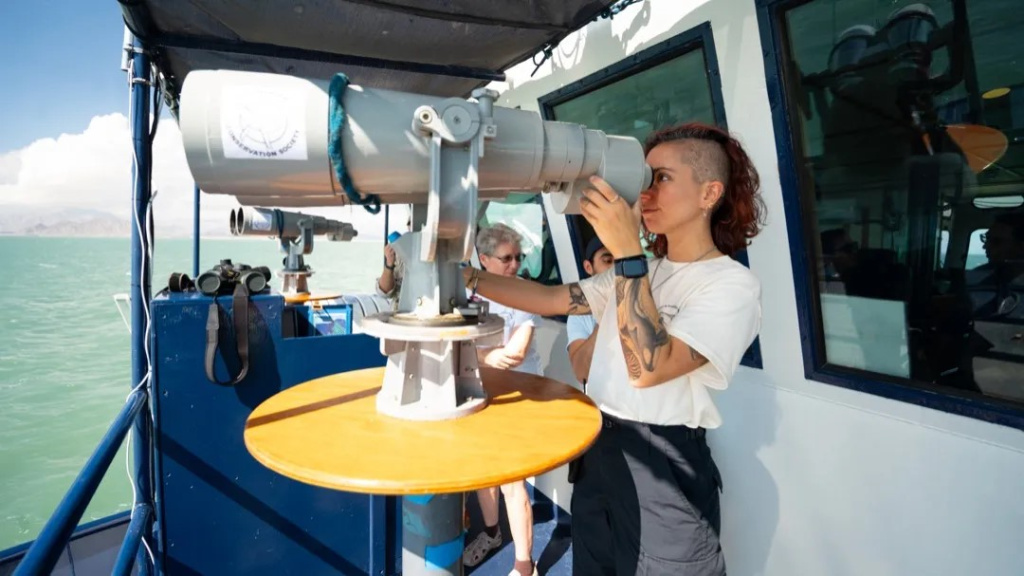250918_VD_SH_SH-Crew_VG-13.jpeg