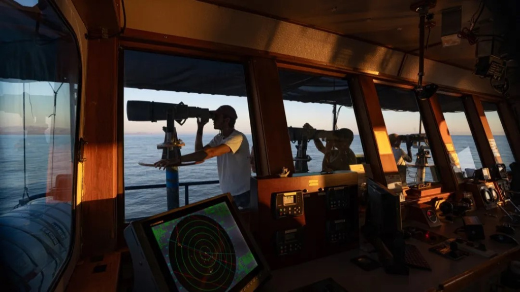 250907_VD_SH_Survey-SH-Observers_VG-6.jpeg