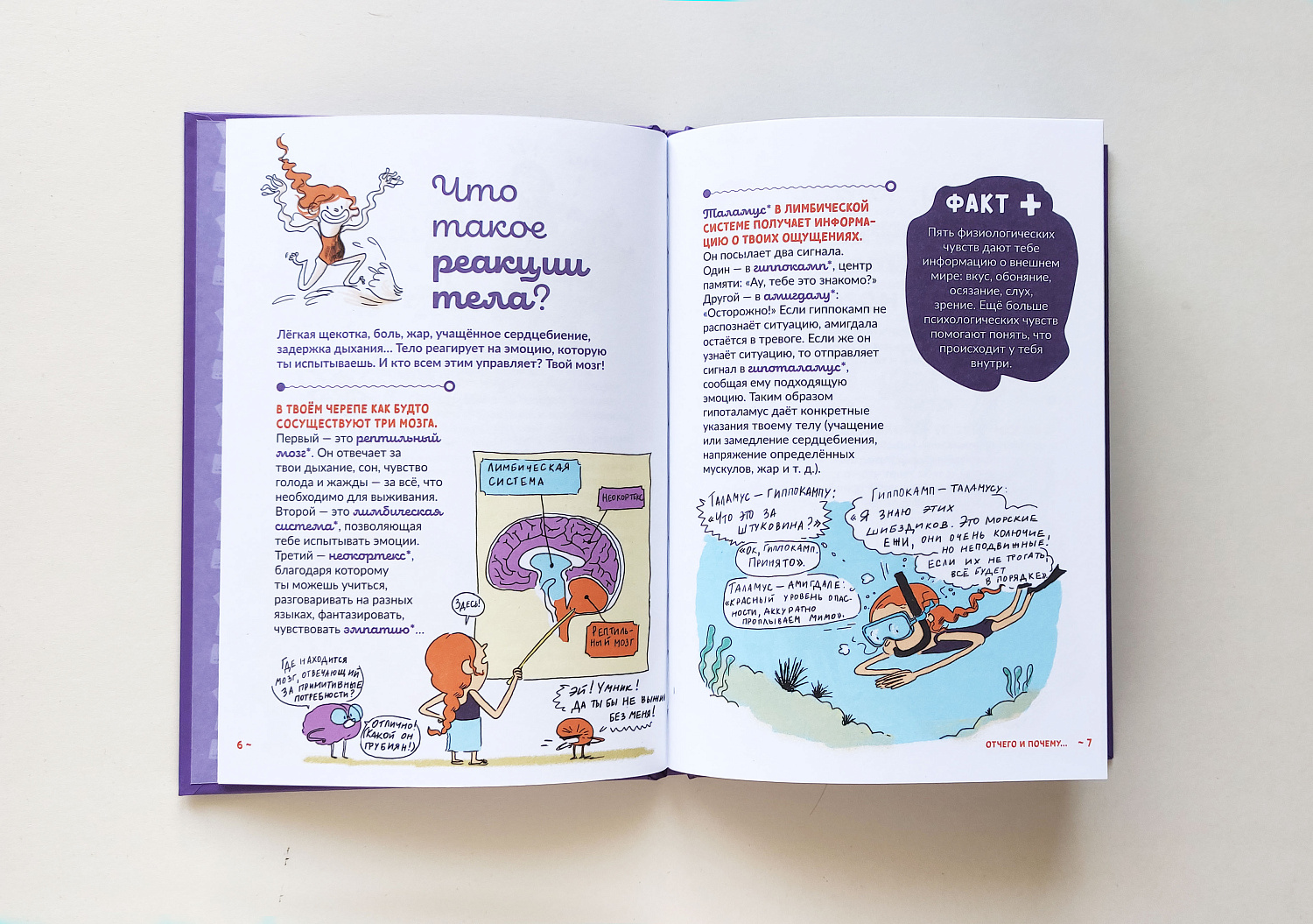 Почему я смеюсь, почему я боюсь?