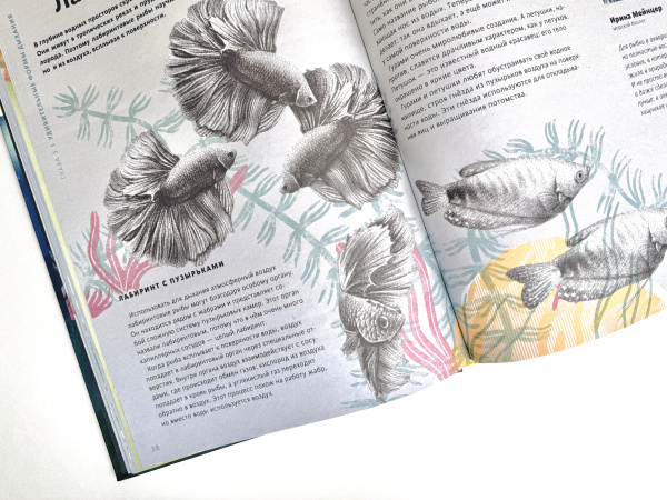 Как дышать под водой?